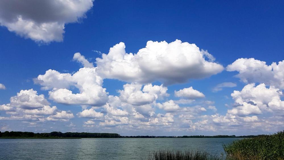 Ferienwohnung In Der Uckermark Am Oberuckersee Ot Warnitz エクステリア 写真